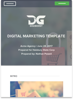 Digital Marketing Proposal Sample
